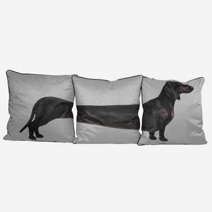 Set of Three Dachshund Cushions