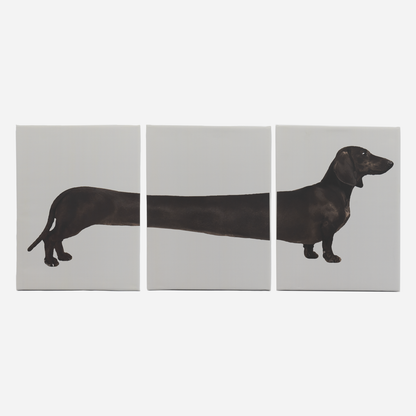 Set of Three Dachshund Canvas Wall Art