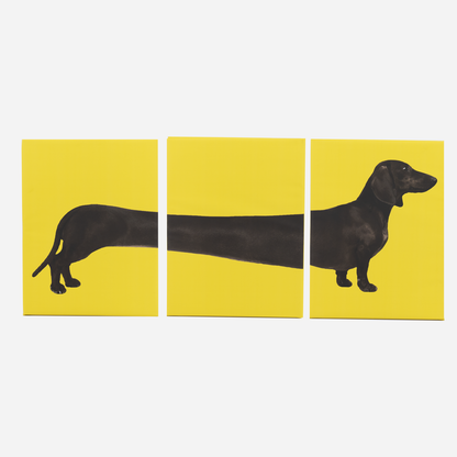 Set of Three Dachshund Canvas Wall Art