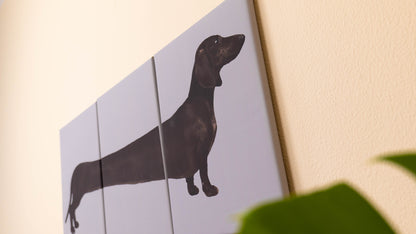 Set of Three Dachshund Canvas Wall Art